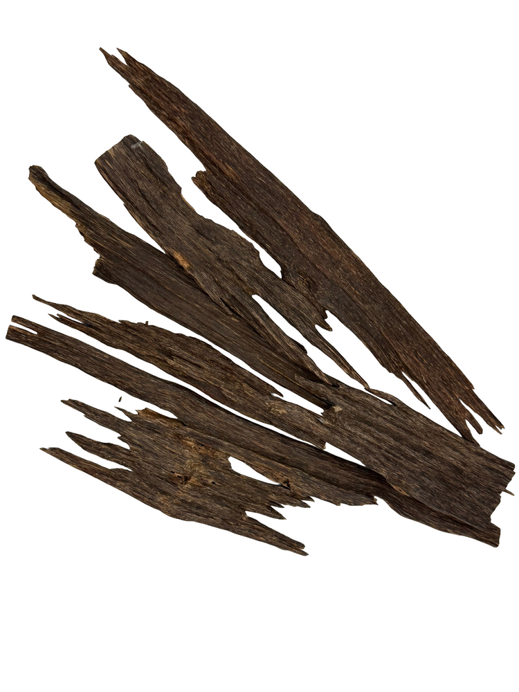 Dark brown wood bark pieces with rough, textured surfaces and jagged edges, arranged diagonally on a solid white background.