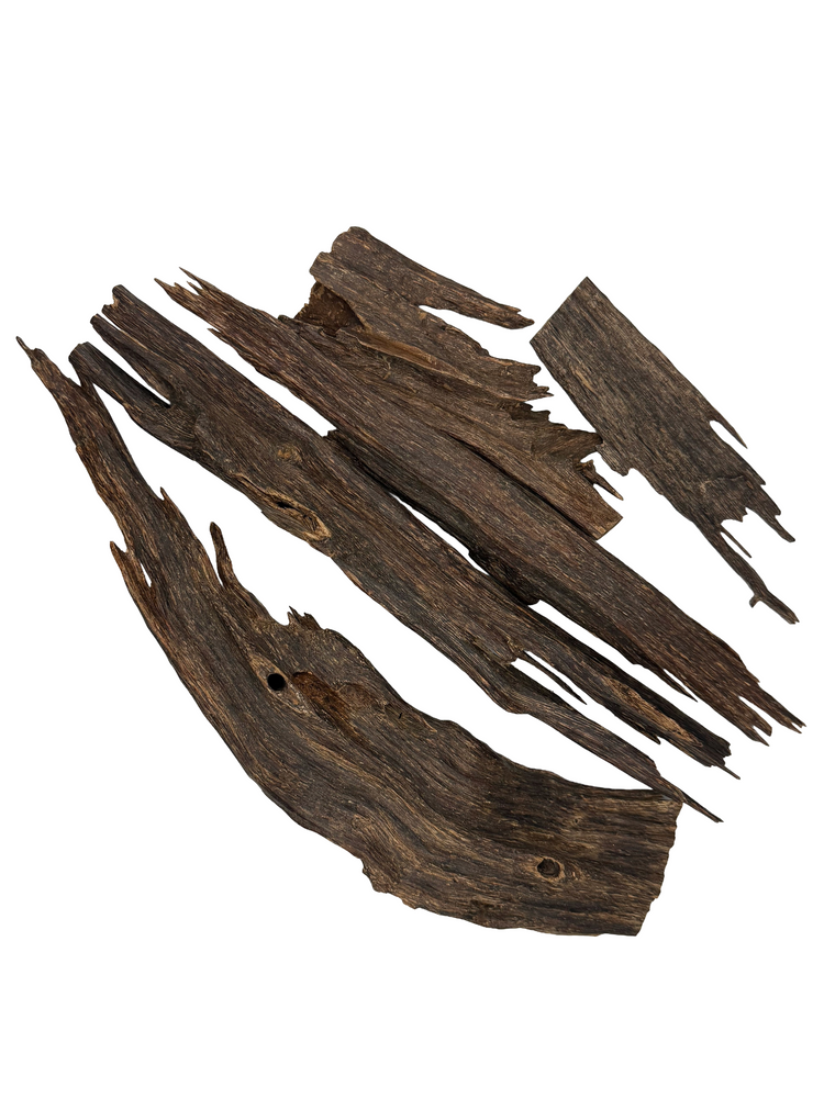 Zura Nagalandi Khaas hand-picked oud chips from Nagaland by Sahraa Perfumes
