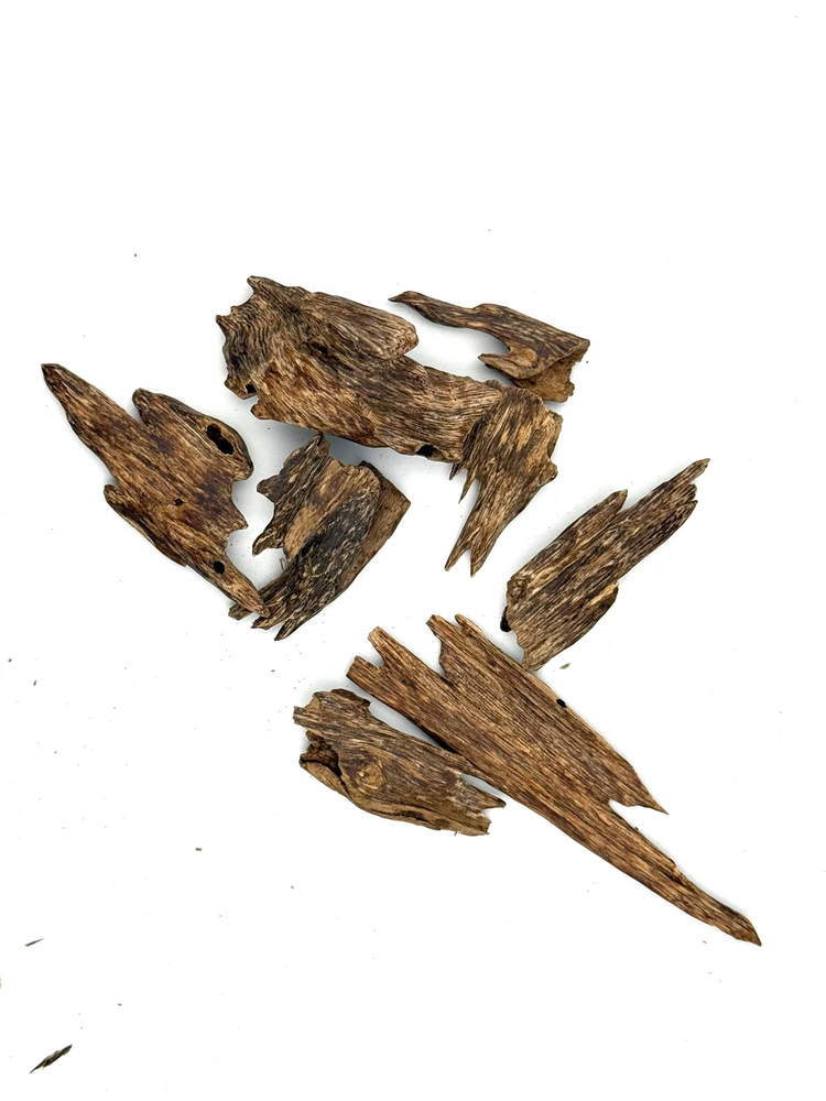 Five irregular pieces of dark brown, textured wood or cork-like material scattered on a plain white background.
